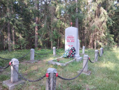 Памятники окрестностей деревни Опухлики.