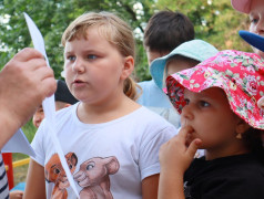 РДДМ—Двенадцать станций, шесть отрядов!