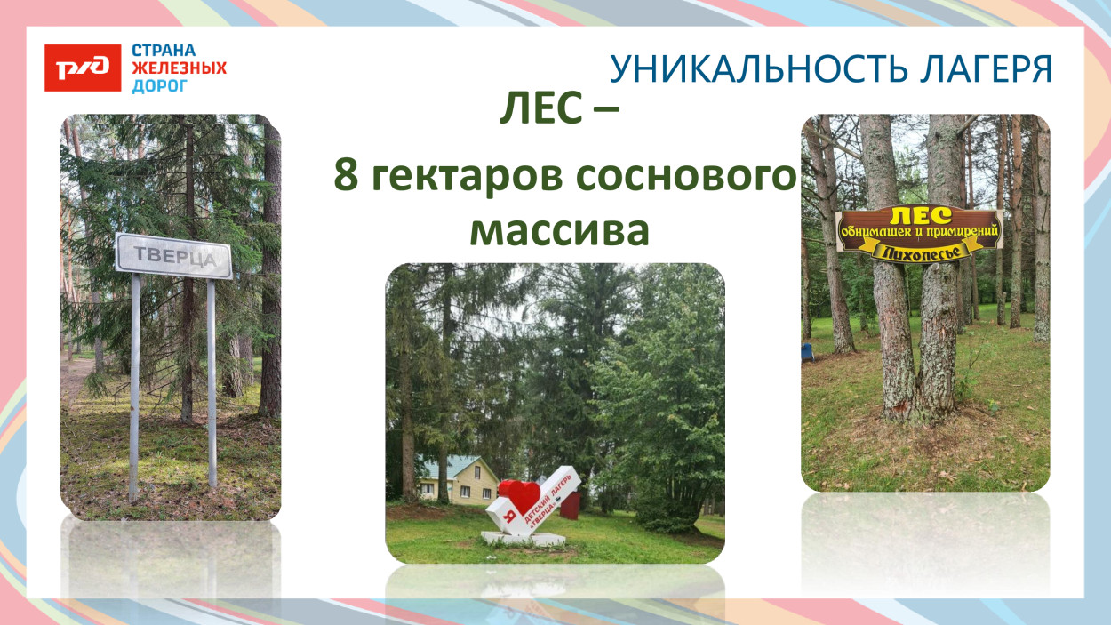 ДОЛ «Тверца»