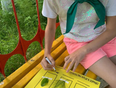 Традиции лагеря &laquo;Алёнушка&raquo;: сила природы и счастливые дети