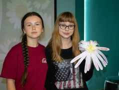 Ромашка семейных ценностей