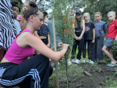 День, когда лагерь стал чуточку хвойнее: в ДОЛ &bdquo;Экспресс&ldquo; прошла туевая революция!