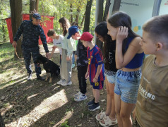 Сегодня у нас был настоящий праздник безопасности и дружбы!  