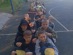 Профессия мечты