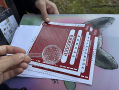 &laquo;Железнодорожный вызов&raquo;: когда игра становится испытанием на прочность и единство