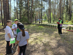 итоговая станционная игра «СуперСила квадронавтов» в ДОЛ "Яльчик"