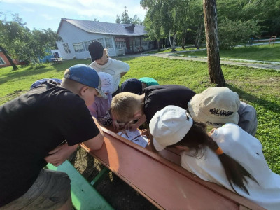 Квест "В поисках клада"