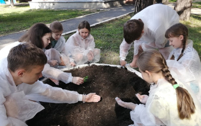 Четвертый модуль "Помощник руководителя кружка" освоен! 