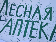Как прошел День Эколога в ДОЛ Зелёный огонек ЮВЖД