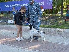 Зарядка со стражем порядка!