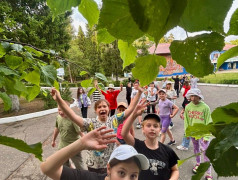 Фотокросс "Счастливый билетик"