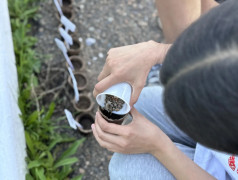 Фестиваль "Золотые руки"
