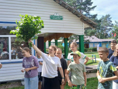 "Банные сражения"