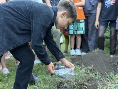 День, когда лагерь стал чуточку хвойнее: в ДОЛ &bdquo;Экспресс&ldquo; прошла туевая революция!