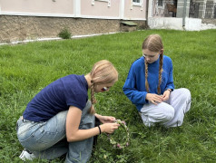 Культурный код единой страны