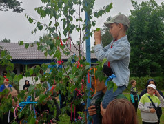 Праздник русской березки