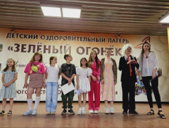 В ДОЛ «Зелёный Огонёк» состоялись выборы Президента детского совета!