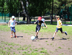 Хроники Леса в ОЦ Салют