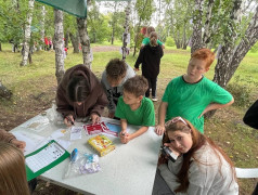 Стратегическая игра "Железнодорожный вызов"