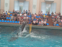 Дельфинарий в ФОЦ МИНЕРАЛЬНЫЕ ВОДЫ