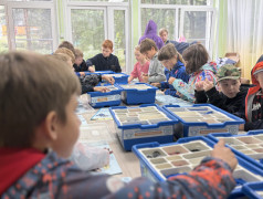 Академия цифровых технологий: в &laquo;Маяке&raquo; покоряют будущее!