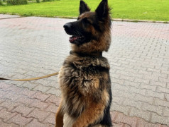 3 День | 4 Смены 