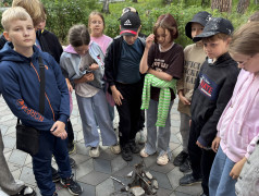 День Первых: Вдохновение, Единство и Новые Знания в лагере «Алёнушка»!