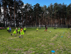 Конкурс «Голос» и видфест