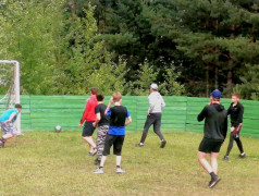 Чемпионат "Движение к здоровью".