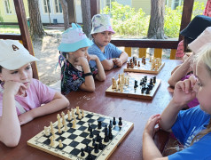 СПОРТИВНЫЕ СЕКЦИИ: ОТКРЫВАЕМ МИР УВЛЕЧЕНИЙ!