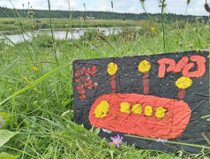 НАШИ ЭКСПЕДИЦИИ ОЖИВИЛИ РУССКИЕ РЕМЁСЛА 