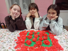 В кружке &laquo;Мягкая игрушка&raquo; расцвело маковое поле! 