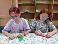 В кружке &laquo;Мягкая игрушка&raquo; расцвело маковое поле! 