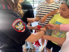 ПДН в лагере: не страшно, а весело! В ДОЛ &bdquo;Экспресс&ldquo; правила безопасности превратили в игру, и даже вожатые не сразу отвечали на вопросы