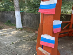 День государственного флага РФ в ДОЛ "Зеленый огонек"