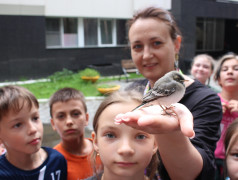 8 июля &mdash; День семьи, любви и верности в &laquo;Алёнушке&raquo;!