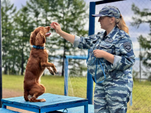 У нас в гостях сотрудники МВД России по Забайкальскому краю!☝️