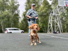 У нас в гостях сотрудники МВД России по Забайкальскому краю!☝️
