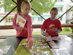 Чемпионат «Движение к здоровью» 