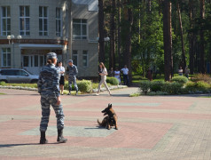 Заслоновград встречает гостей