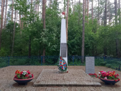 Памятники окрестностей деревни Опухлики.