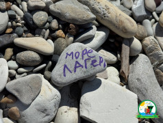 Солнце, бриз и водные процедуры: отдых на море в ДОЛ &laquo;Зелёный огонёк&raquo;