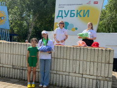 Назад в прошлое
