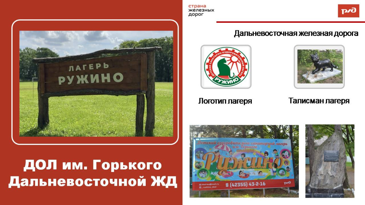 Детский оздоровительный санаторный лагерь им. Горького