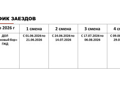 Основное  о летней оздоровительной кампании в лагере "Сосновый бор"
