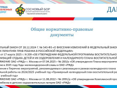 Концепция ДОЛ "Сосновый бор"