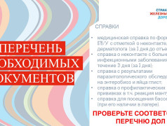 Условия пребывания ребёнка в ЛЗОЛ "Сосновый бор". Родительское собрание