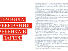 Условия пребывания ребёнка в ЛЗОЛ "Сосновый бор". Родительское собрание