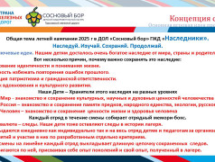 Концепция ДОЛ "Сосновый бор"
