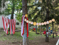 КОНКУРС «У КАЖДОГО ДЕРЕВЦА СВОЙ ПРАЗДНИК»